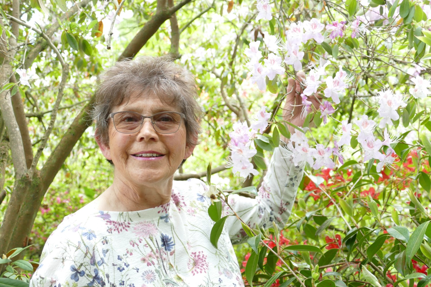 Rosemary Legrand image